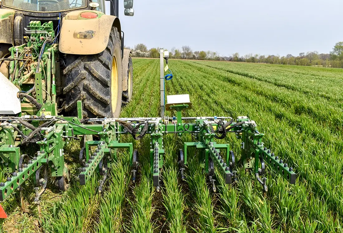 Interrow hinter Traktor auf dem grünen Feld