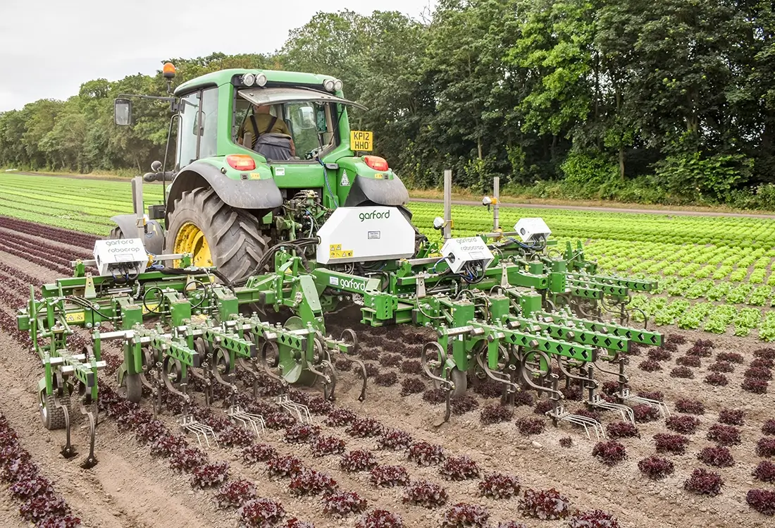 Garford Gerät zwischen roten Jungpflanzen