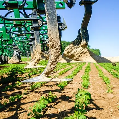 Garford Gerät auf Feld mit jungem Salat