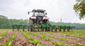 Garford Hacktechnik Reihenkultur auf dem Acker